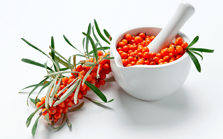 sea buckthorn uses