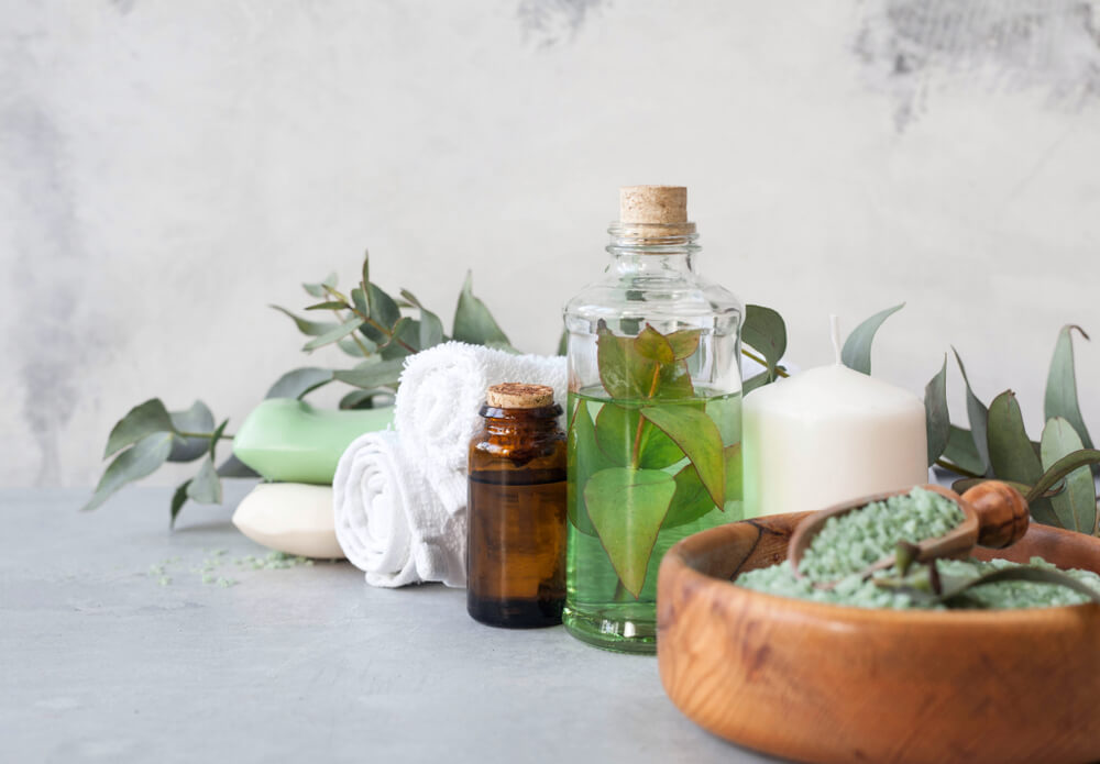 Eucalyptus leaves and essential oil