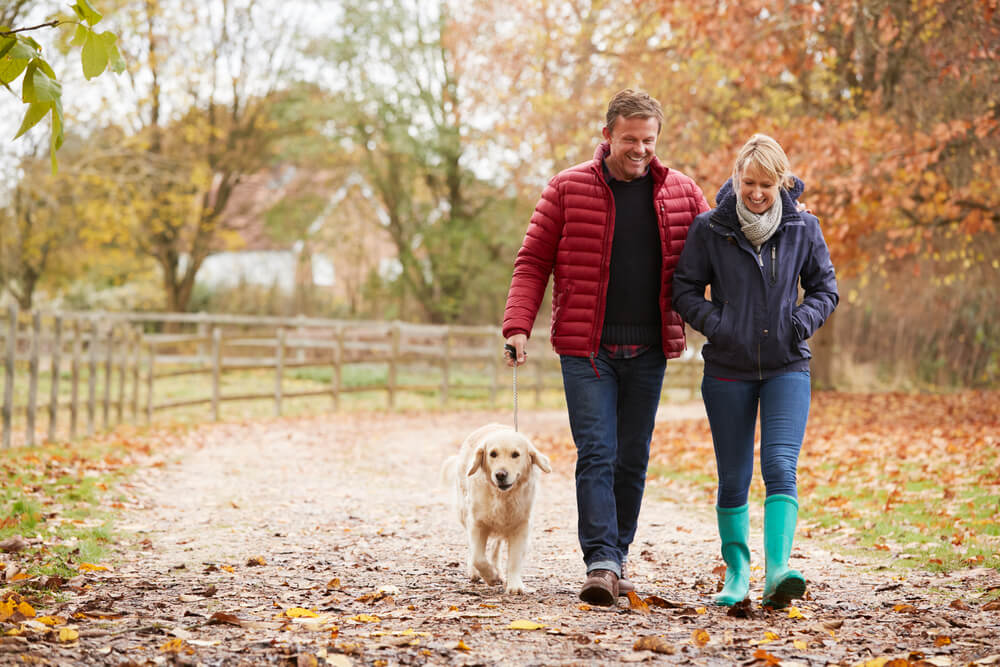mature couple walking their dog