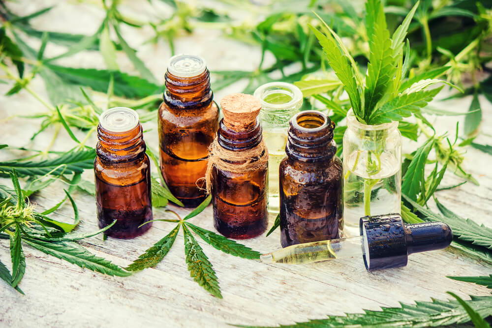 Essential oil bottles surrounded by cannabis plants