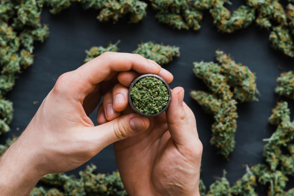 Flat lay of cannabis and two hands holding some cannabis