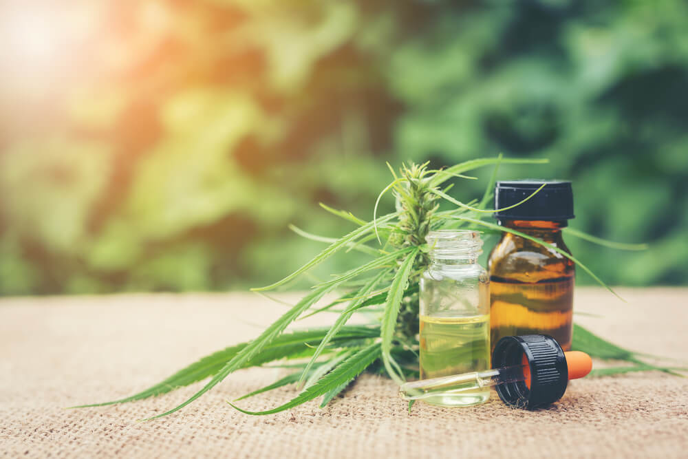 Small bottle of oil and cannabis plant