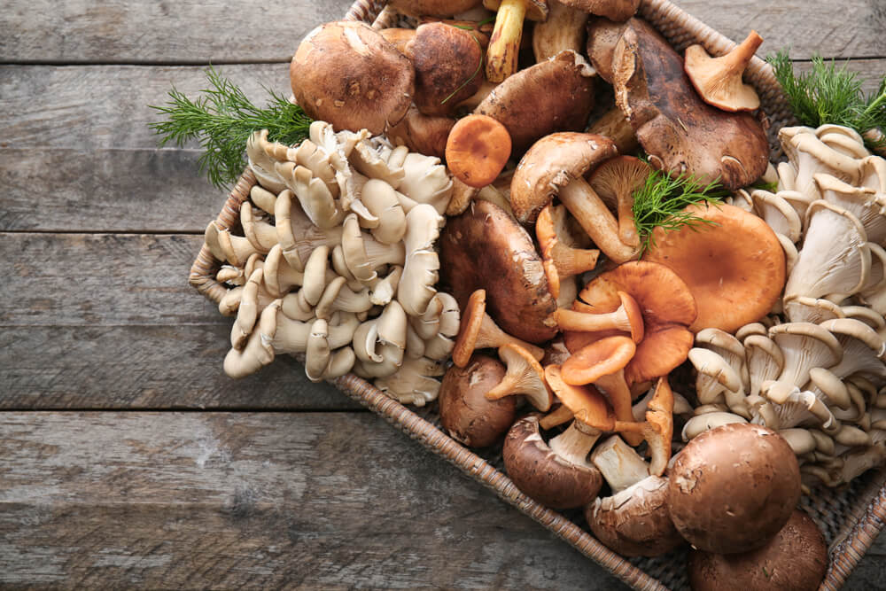 Basket of a variety of Mushrooms
