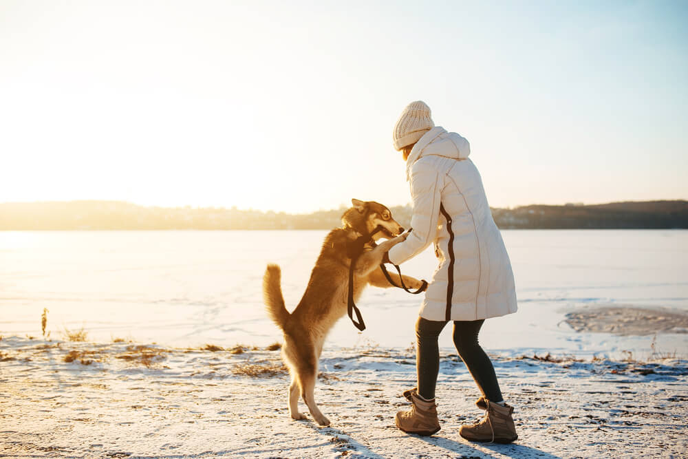 woman playing with dog int he winter