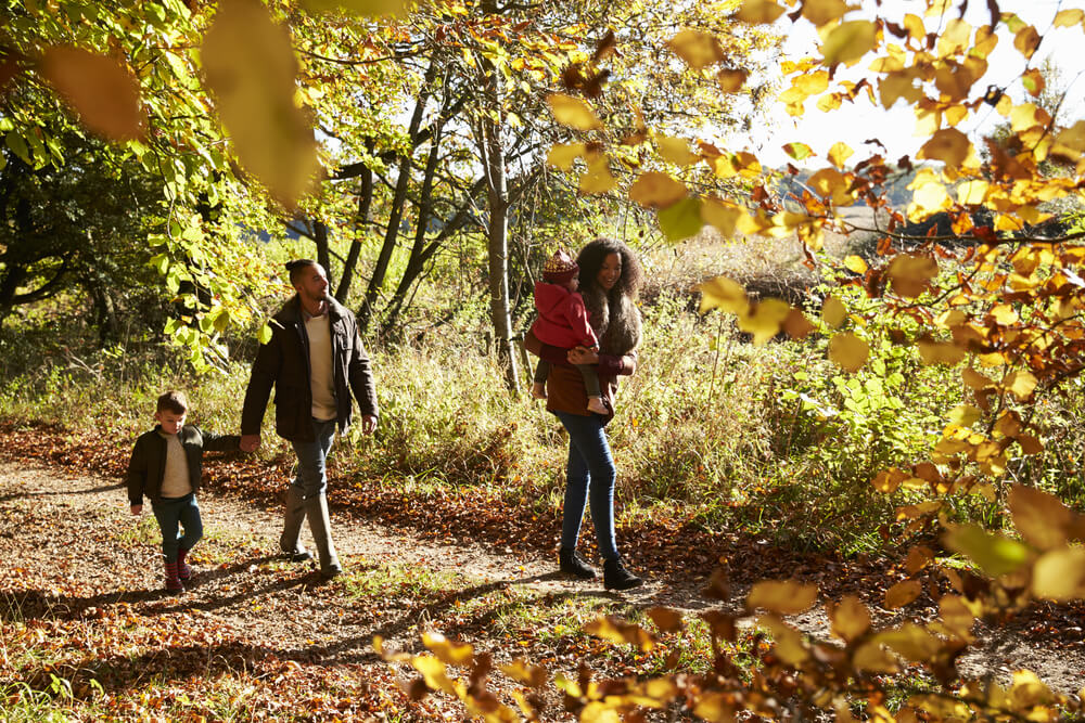 Family out for a walk in the forest during the Fall