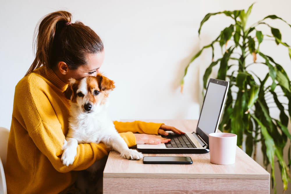woman working from home office with dog on her lap